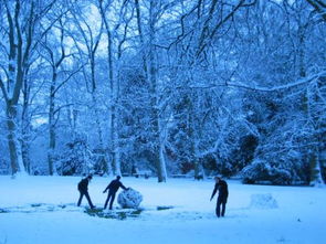 冬日校園即景作文不下雪