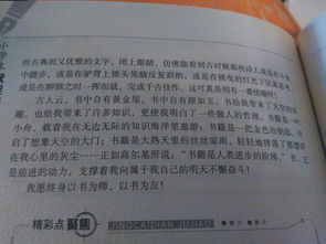 校園里的記憶550字作文