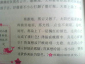 校園的夜晚400字作文600字作文