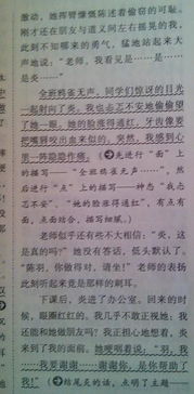 描寫(xiě)校園說(shuō)明文的作文600字