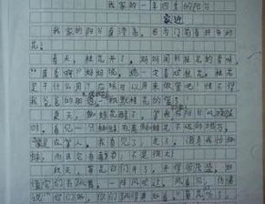 美麗的校園作文寫(xiě)景開(kāi)頭65