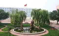 初冬的校園作文350字