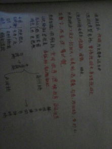 作文我們的校園空間順序