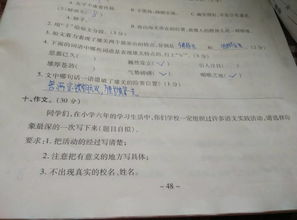 作文,樂(lè)園,校園