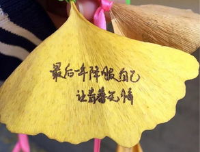 描寫校園落葉作文