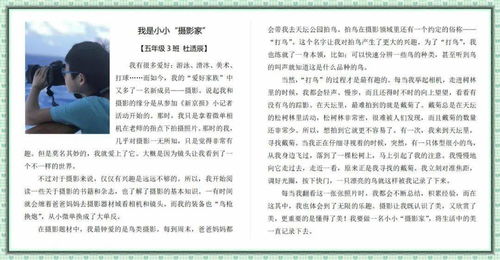 關(guān)于校園作文的優(yōu)秀作文