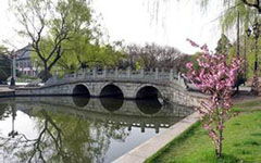 校園運動會作文四百字,秋天的校園作文四百字左右,我的校園作文四百字左右