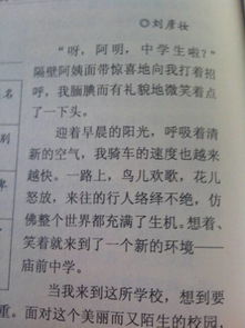 校園里的活動(dòng)300字,校園的活動(dòng)300字左右,校園活動(dòng)日記300字