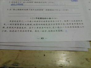 清晨的校園作文500字,清晨的校園300字作文,清晨的校園作文350字左右