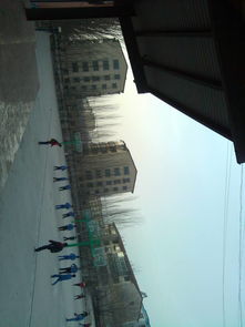 題目校園一角作文大全