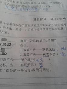 作文校園活動300