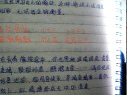 適合寫進青春校園作文的句子