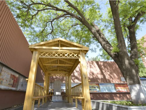 大學(xué)作文關(guān)于校園里的植物