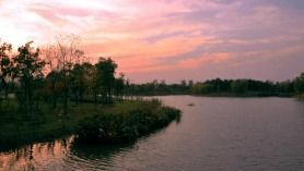 移步換景法寫公園美景,用移步換景法寫校園100字,用移步換景法寫校園200字