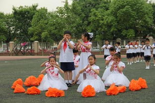 多彩的校園活動作文500字