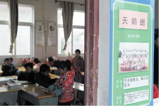 作文,道德,生態(tài),進校園