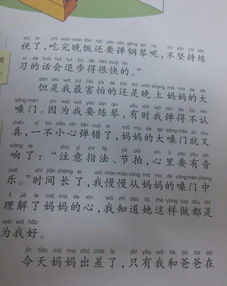 法治校園從我做起作文450字