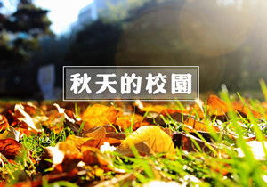 校園的秋寫(xiě)景作文