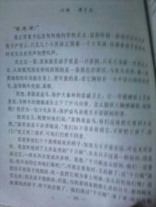 校園游戲作文450字六級(jí)