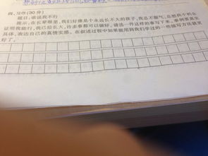 夏季校園一角500字作文怎么寫