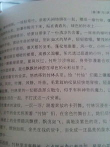 作文,游覽,順序,校園