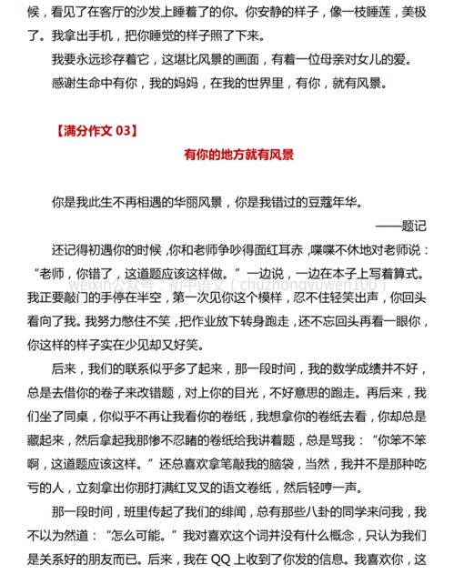 那是一道風(fēng)景作文400字(校園)