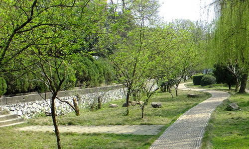 校園二三事作文600母校