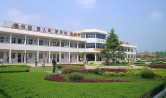 秋季的校園真美作文