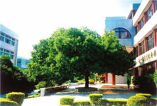 校園的風景線小學四級作文