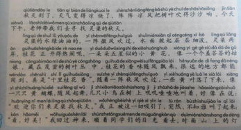 秋季校園一景作文300字