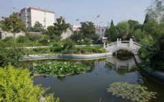 夏天的的校園作文300