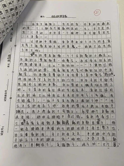 金川中學(xué)的作文我的校園之最