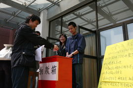 作文,捐款,校園,活動