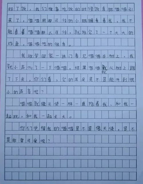 三級(jí)書香校園作文