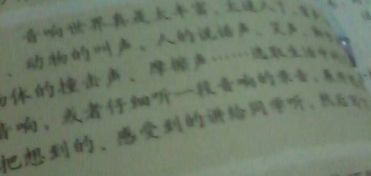 校園笑聲的作文600字