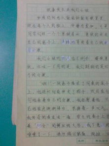 作文,初中,校園,大全