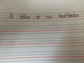 寫校園環(huán)境的作文500字