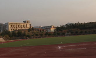 美麗的校園的作文800字作文