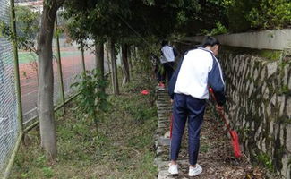 我愛(ài)校園做文明中學(xué)生作文大全