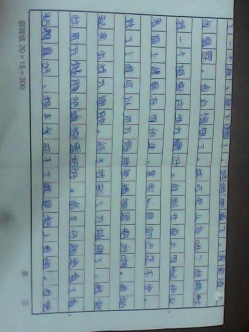 寫校園里難忘的一件事450字作文