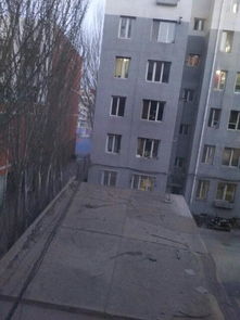 校園的一角作文寫山