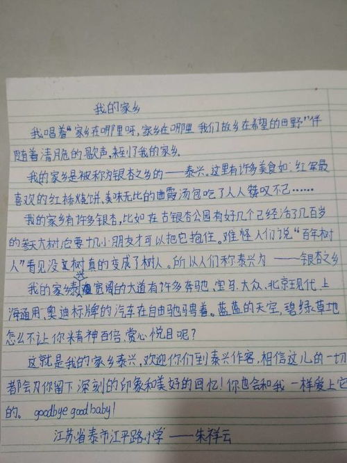 寫校園的美景作文300字