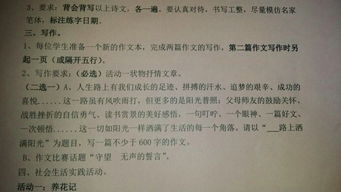 灑滿陽光的校園作文600字作文