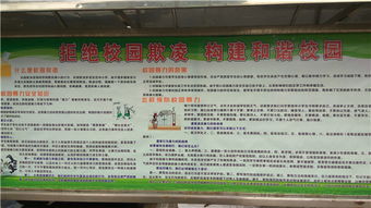 掃黑除惡杜絕校園欺凌的作文