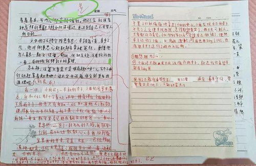 新的校園新的環(huán)境作文兒800字作文素材