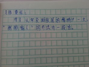 保護(hù)校園的樟樹(shù)作文怎么寫(xiě)