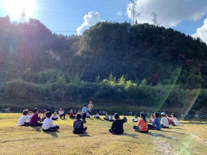 野炊,作文,四級(jí),校園