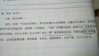 作文,夢(mèng)想,校園