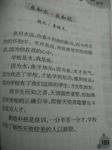 我們的校園作文應(yīng)不換景