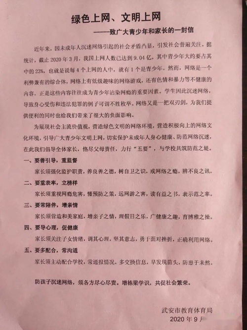 校園網(wǎng)絡(luò)安全作文650